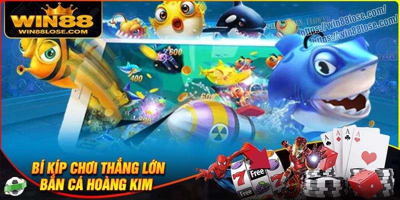 Bí kíp chơi Bắn cá Hoàng Kim cho người mới