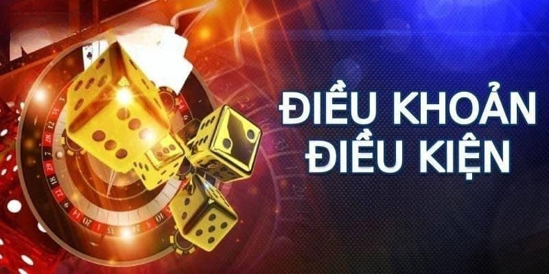 Quyền và nghĩa vụ trong điều khoản điều kiện ABCVIP