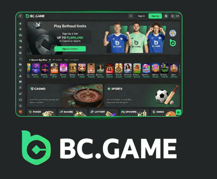 Your Ultimate Guide to BC.Game Bonuses Your Ultimate Guide to BC.Game Bonuses
